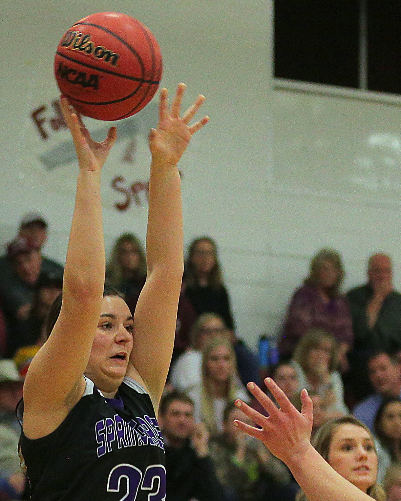 Spring Creek at Elko Girls Basketball — 1st Half (80).jpg
